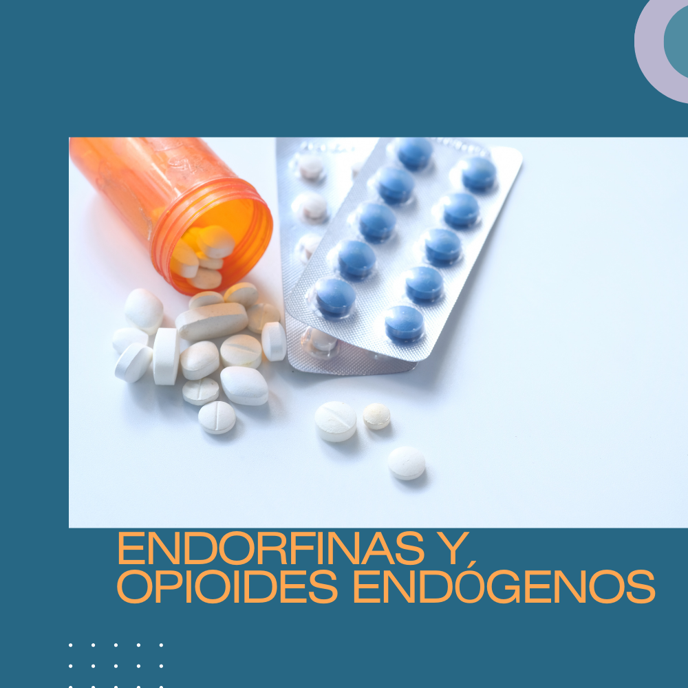 Endorfinas y opioides endógenos