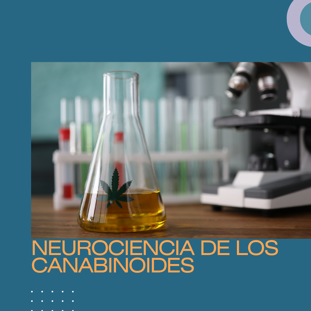 Neurociencia de los canabinoides