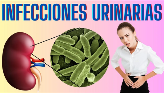 ¿Cómo prevenir las infecciones de vías urinarias?