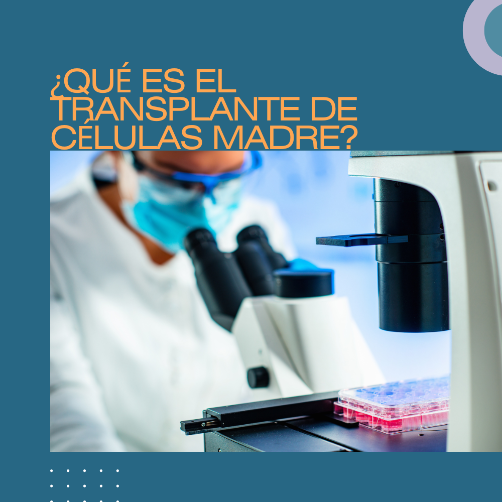 ¿QUÉ ES EL TRANSPLANTE DE CÉLULAS MADRE?