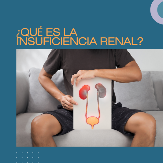 ¿QUÉ ES LA INSUFICIENCIA RENAL?