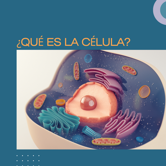 ¿QUÉ ES LA CÉLULA?