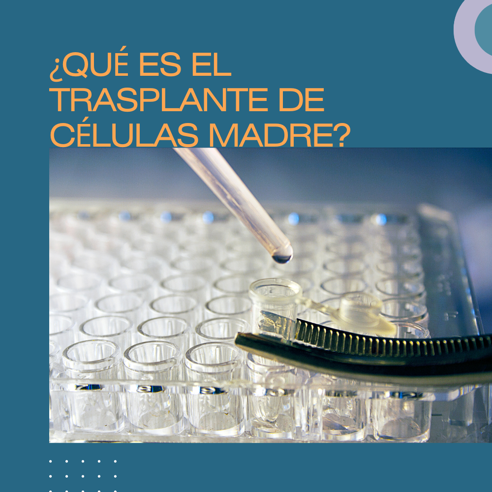 ¿Qué es el Transplante de células madre?