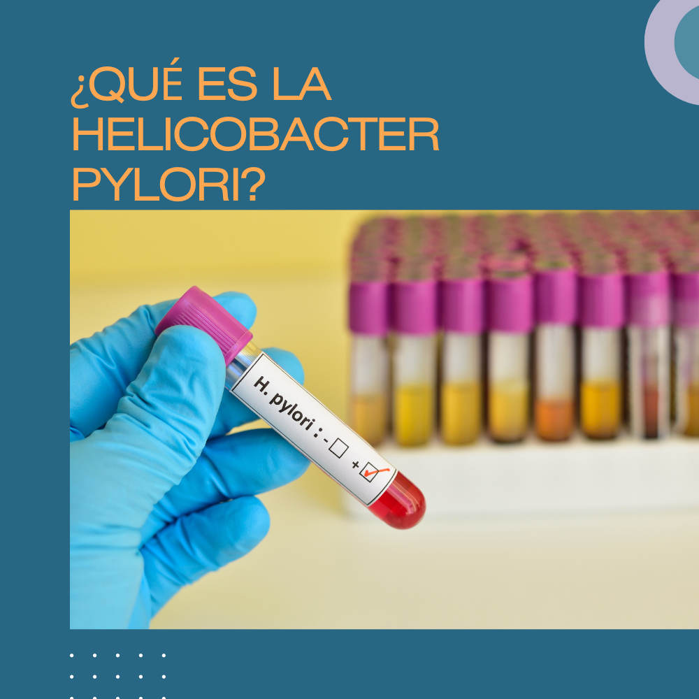 ¿Qué es la helicobacter pylori?