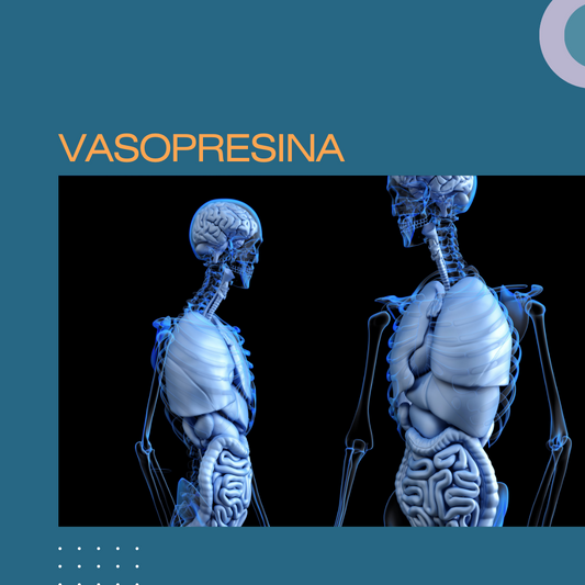 Vasopresina