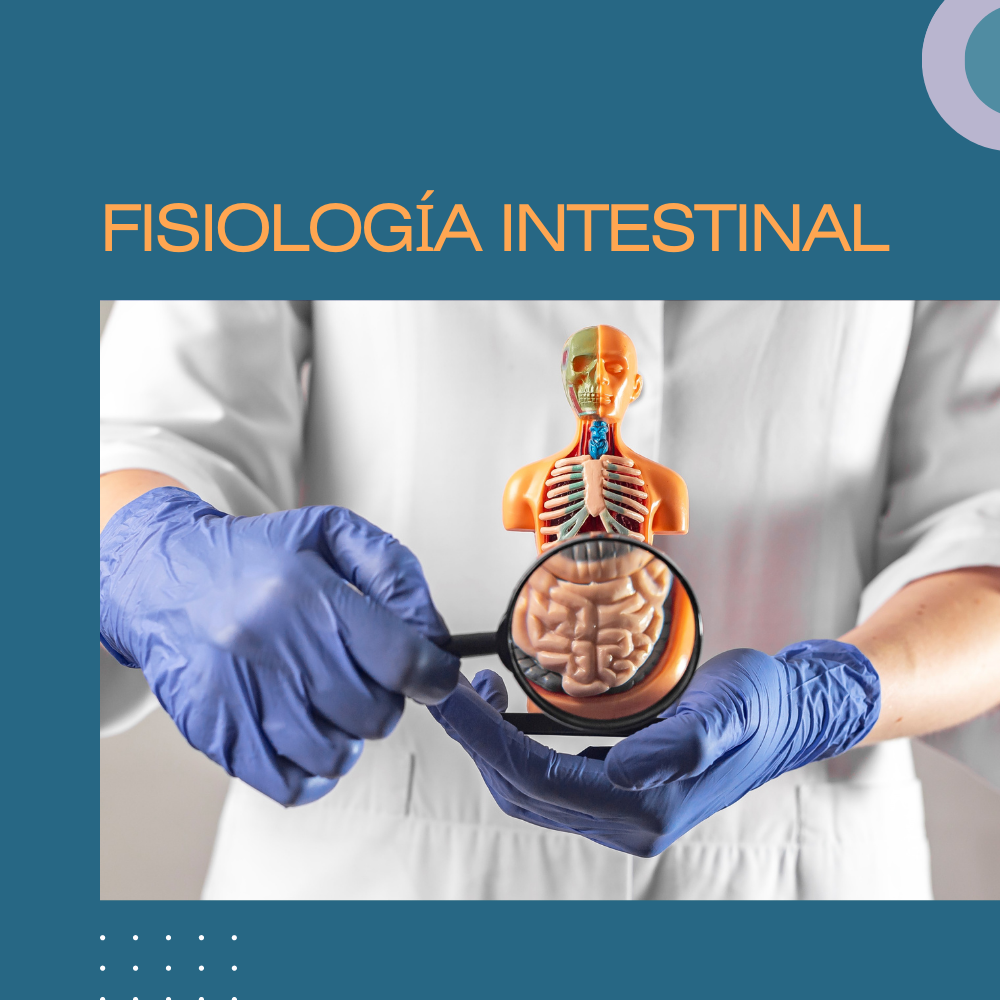 Fisiología Intestinal