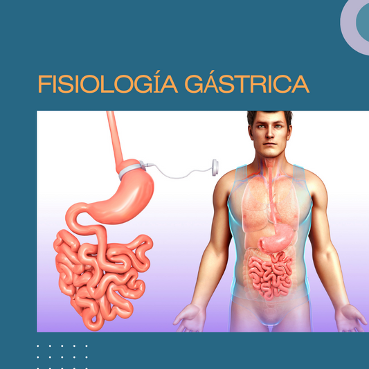 Fisiología Gástrica