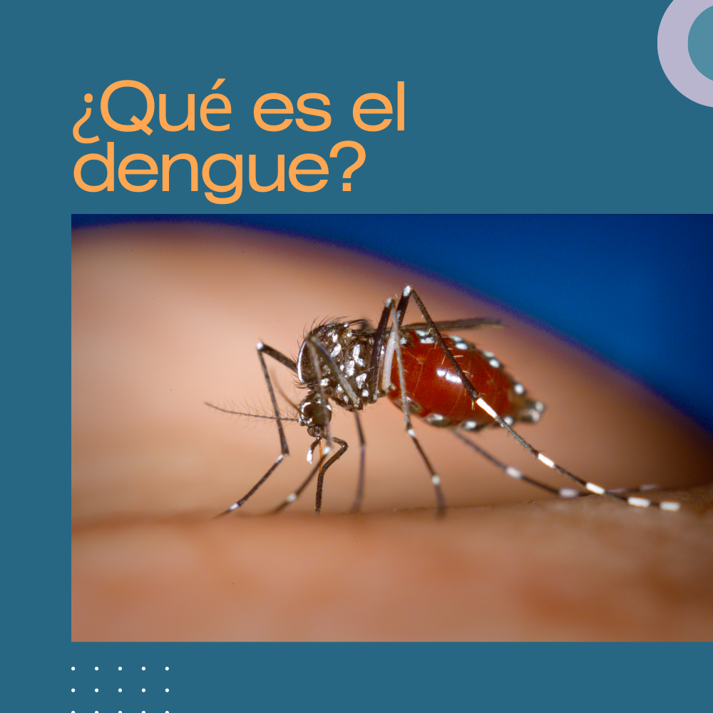 ¿Qué es el dengue?